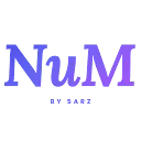 Num Logo