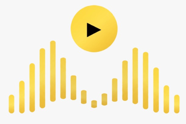 Stick Audio  logo